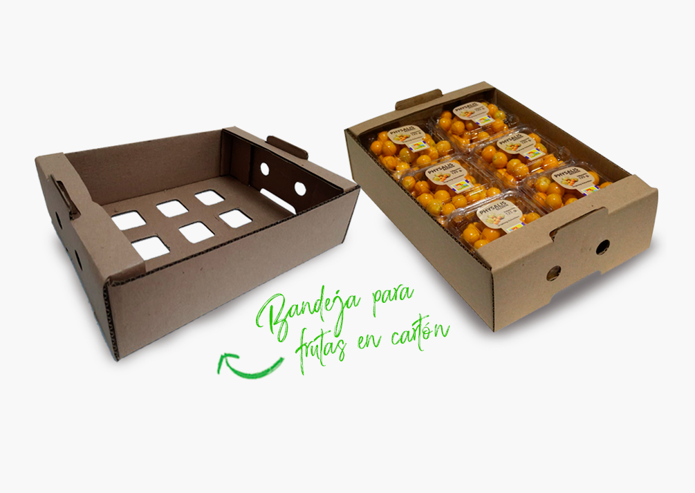 Embalaje para exportación, Cajas de Madera y Cartón